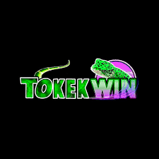 tokekwin — ikon APK
